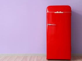 Frigider roșu cu o singură ușă - cel mai bun frigider